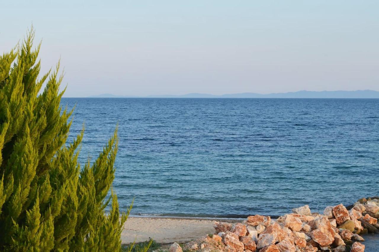 Lemon Beach Front Apartment, Nikiti Exteriér fotografie